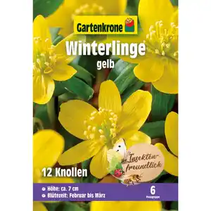 Gartenkrone Blumenzwiebel »Winterline Eranthis hyemalis«, 12 Stück, gelb