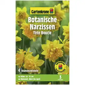 Gartenkrone Narzisse, 4 Blumenzwiebeln, gelb
