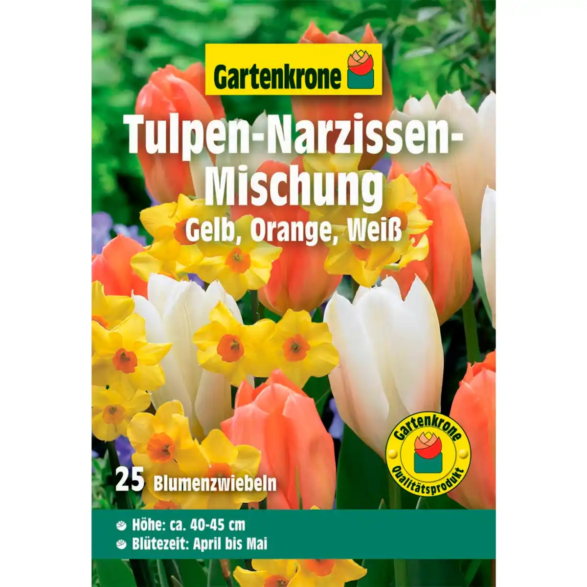 Bild 1 von Gartenkrone Blumenzwiebel, 25 Blumenzwiebeln, gelb/orange/weiß