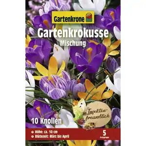 Gartenkrone Gartenkrokusse, 10 Blumenzwiebeln, mehrfarbig