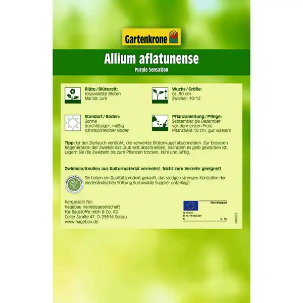 Bild 2 von Gartenkrone Zierlauch, 5 Blumenzwiebeln, rosaviolett