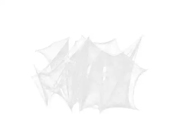 Bild 2 von Deko-Spinnennetz