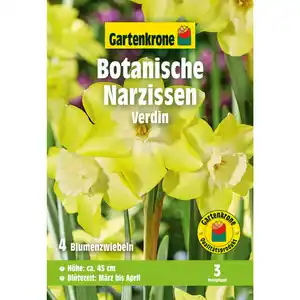 Gartenkrone Narzisse, 4 Blumenzwiebeln, gelb