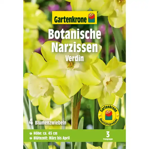 Bild 1 von Gartenkrone Narzisse, 4 Blumenzwiebeln, gelb
