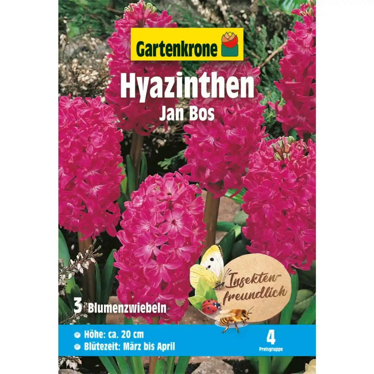 Bild 1 von Gartenkrone Hyazinthe »Jan Bos«, 3 Stück, rot