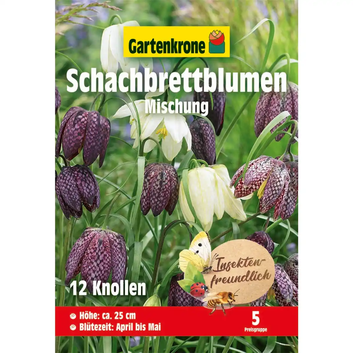 Bild 1 von Gartenkrone Blumenzwiebel »Schachbrettblume Fritillaria meleagris«, 12 Knollen, weiß/dunkelviolett