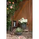 Bild 3 von Pflanzschale »Catania«, 39 x 14,7 cm (ØxH), Kunststoff, metallgrau