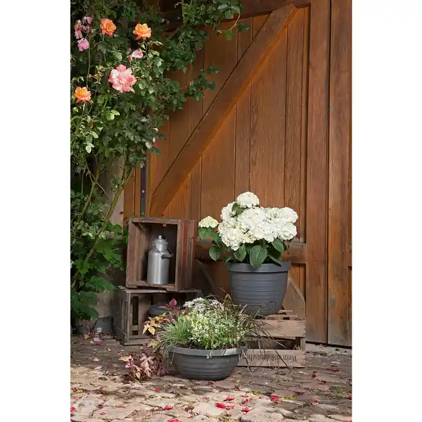 Bild 3 von Pflanzschale »Catania«, 39 x 14,7 cm (ØxH), Kunststoff, metallgrau