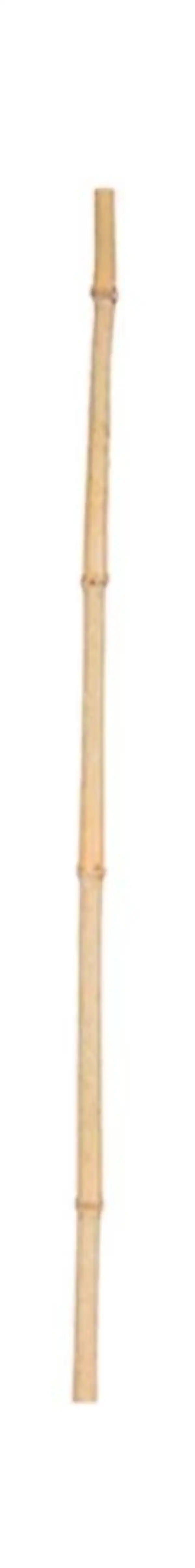Bild 1 von Pflanzstab ca. 180 cm lang