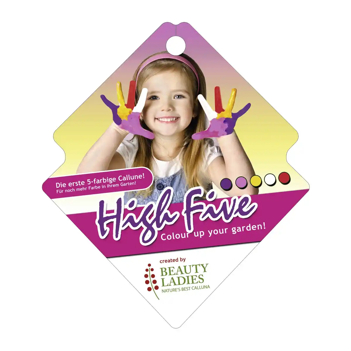 Bild 2 von Besenheide, Calluna vulgaris »High Five«, max. Wuchshöhe: 50 cm, Blüte: mehrfarbig