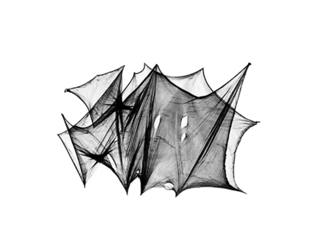 Bild 1 von Deko-Spinnennetz