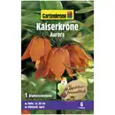 Bild 1 von Gartenkrone Kaiserkrone, 1 Blumenzwiebel, orange