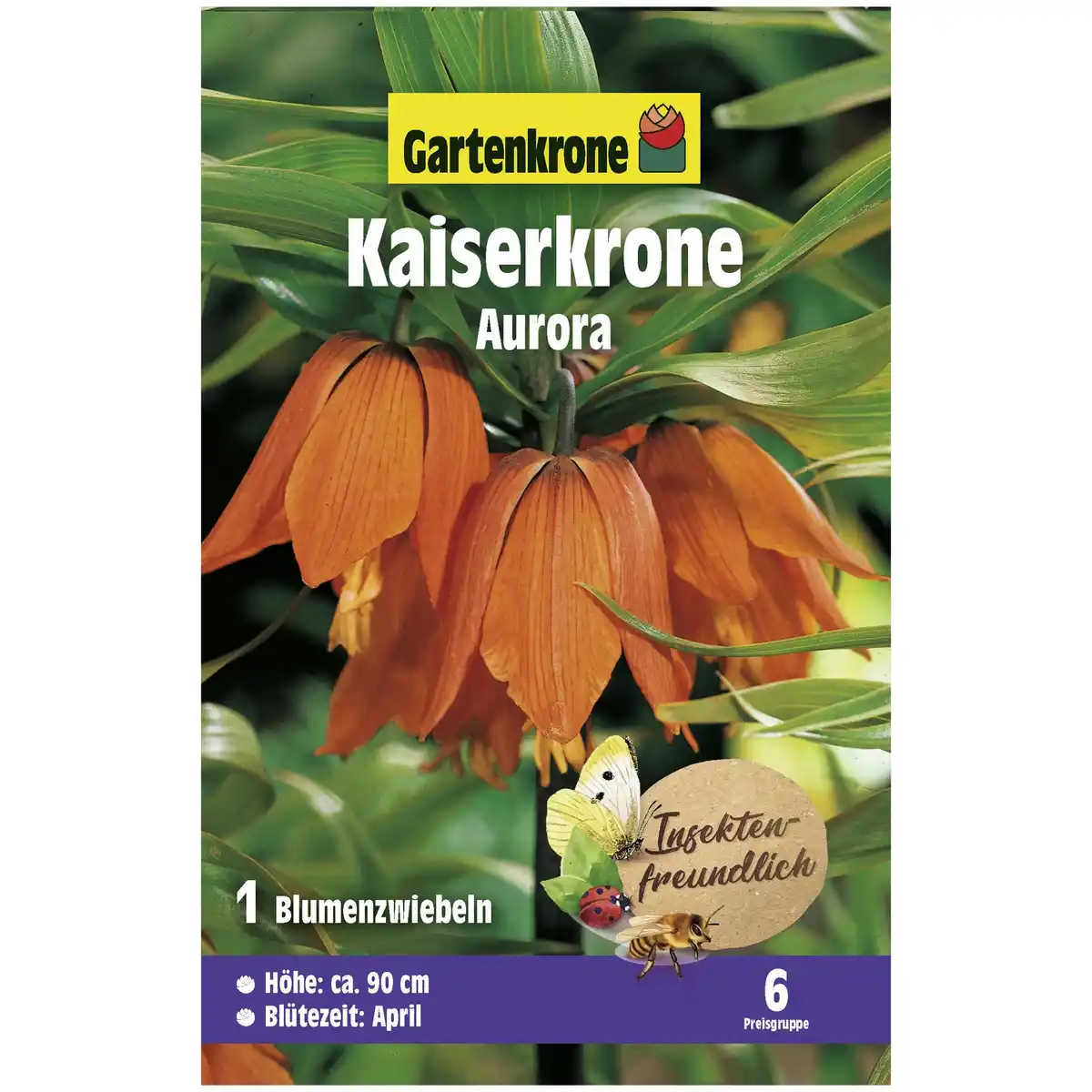 Bild 1 von Gartenkrone Kaiserkrone, 1 Blumenzwiebel, orange