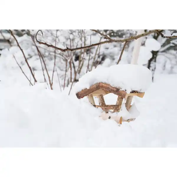 Bild 1 von PATKAR Vogelhaus, 19x19x24 cm (BxHxT), zum Aufhängen