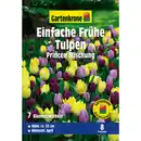 Bild 1 von Gartenkrone Tulpen »Princen Mischung«, 10 Stück, bunt