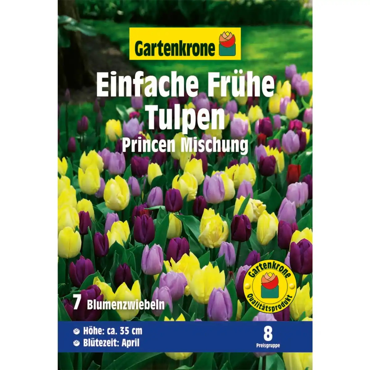 Bild 1 von Gartenkrone Tulpen »Princen Mischung«, 10 Stück, bunt
