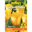 Bild 1 von Gartenkrone Tulpen »Hamilton«, 7 Stück, gelb
