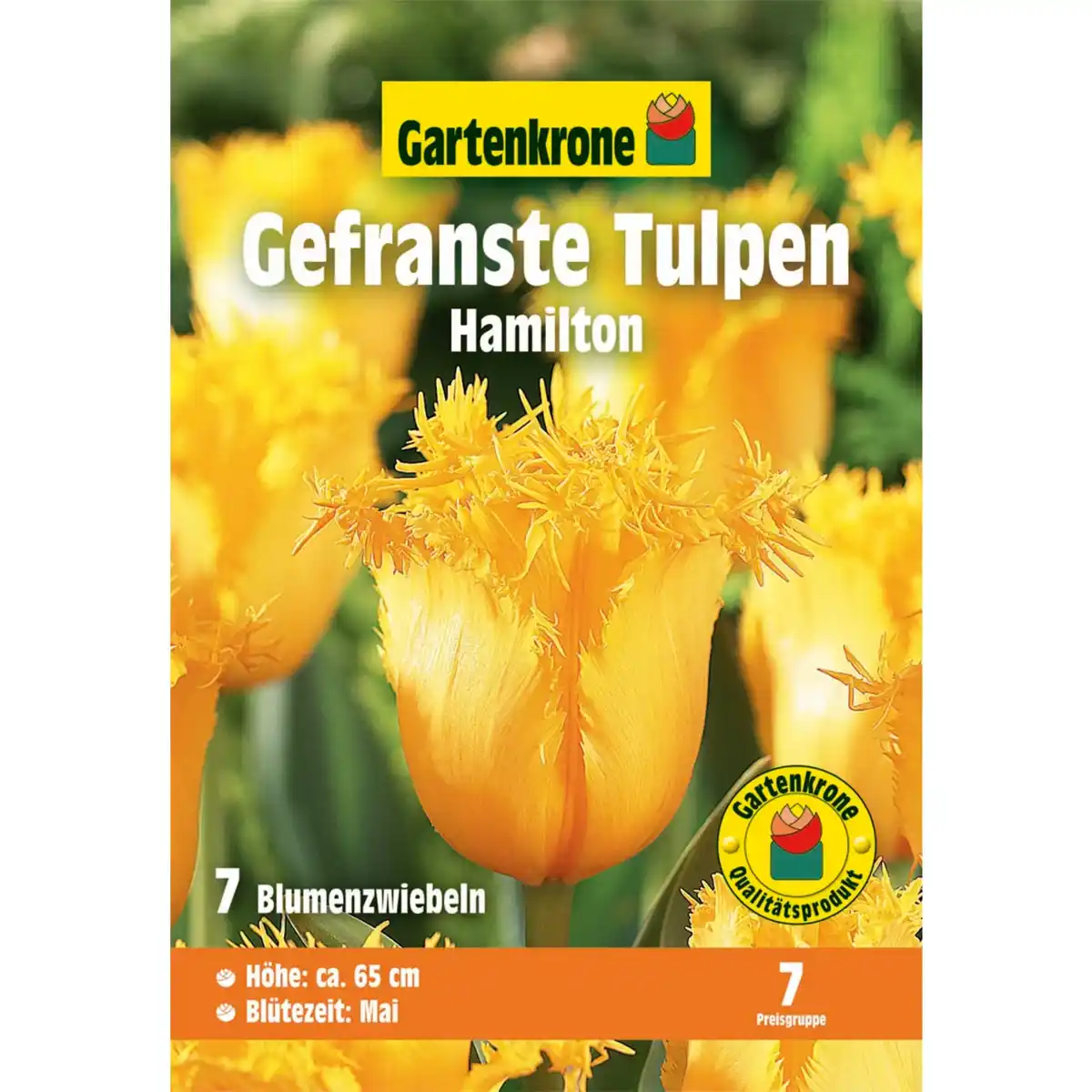 Bild 1 von Gartenkrone Tulpen »Hamilton«, 7 Stück, gelb