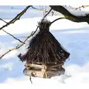 Bild 2 von PATKAR Vogelhaus, 32x.36 cm (ØxH), zum Aufhängen, Birkenholz