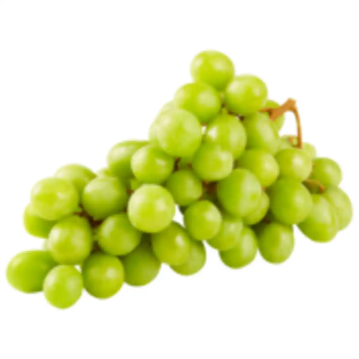 Bild 1 von Helle Tafeltrauben