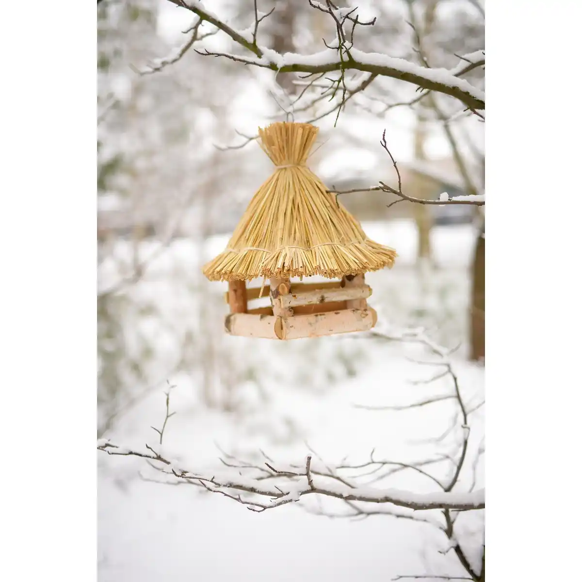 Bild 3 von PATKAR Vogelhaus, 32x.36 cm (ØxH), zum Aufhängen, Birkenholz