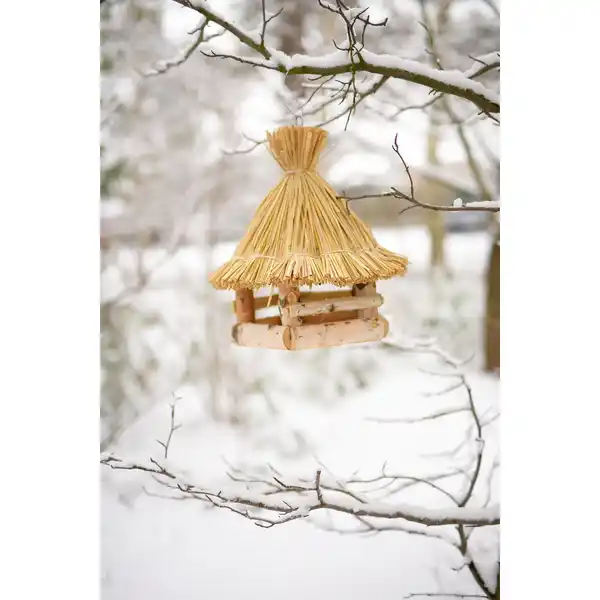 Bild 3 von PATKAR Vogelhaus, 32x.36 cm (ØxH), zum Aufhängen, Birkenholz