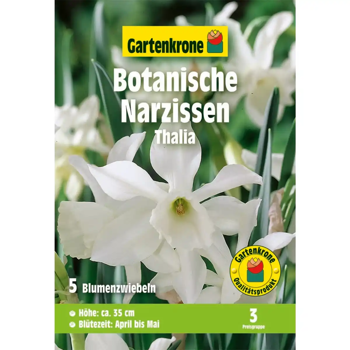 Bild 1 von Gartenkrone Narzisse »Thalia«, 5 Stück, weiß