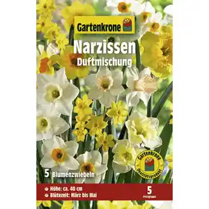 Gartenkrone Narzissen »Duftmischung«, 5 Stück, gelb/orange