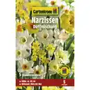 Bild 1 von Gartenkrone Narzissen »Duftmischung«, 5 Stück, gelb/orange