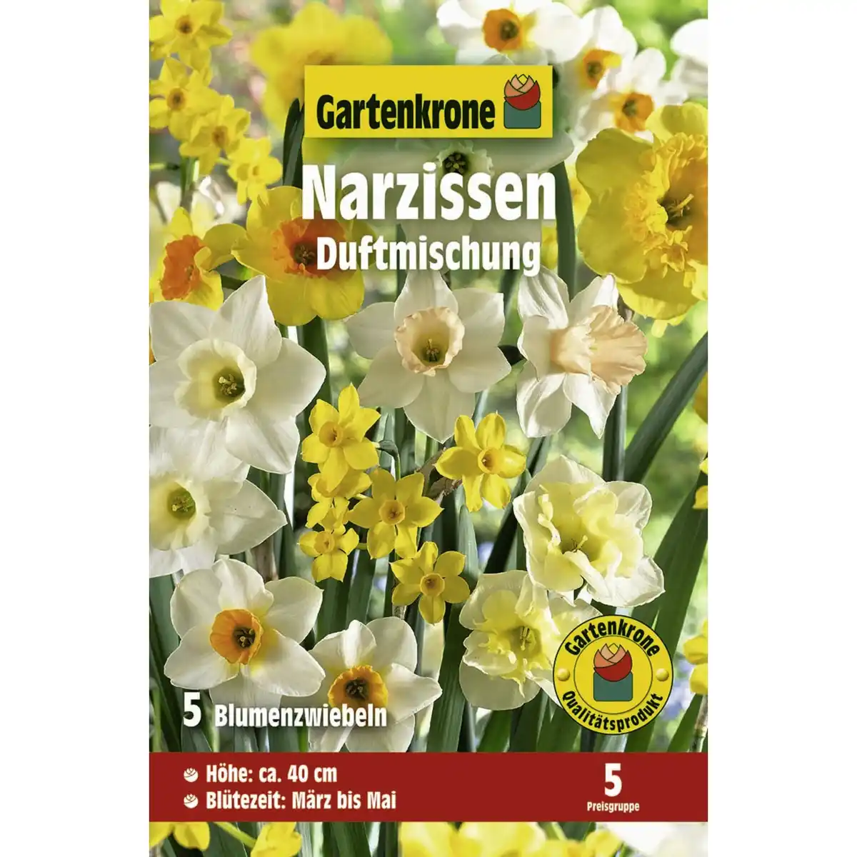 Bild 1 von Gartenkrone Narzissen »Duftmischung«, 5 Stück, gelb/orange