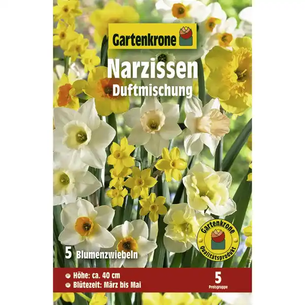Bild 1 von Gartenkrone Narzissen »Duftmischung«, 5 Stück, gelb/orange