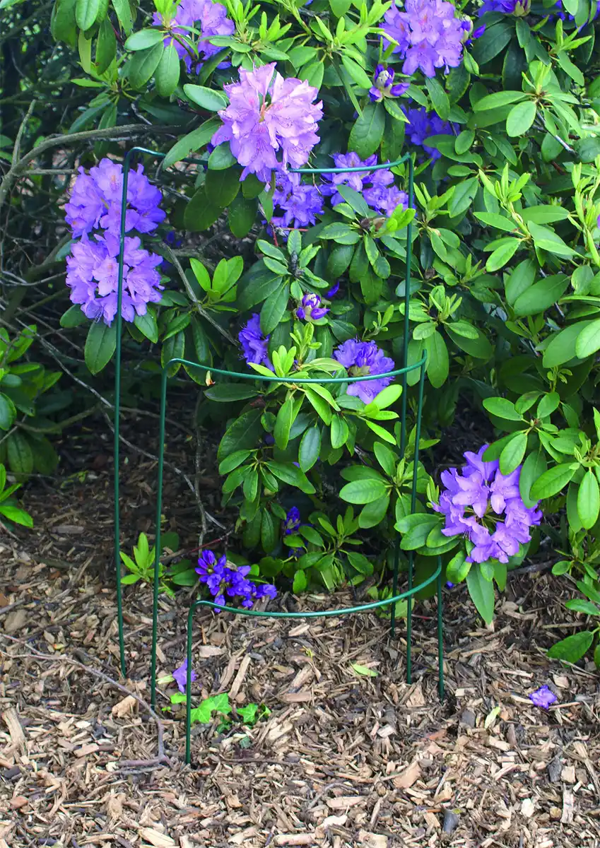 Bild 2 von Strauchstütze ca. 70 x 32 x 15 cm