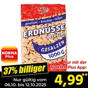 XOX GROUP Erdnüsse XXL