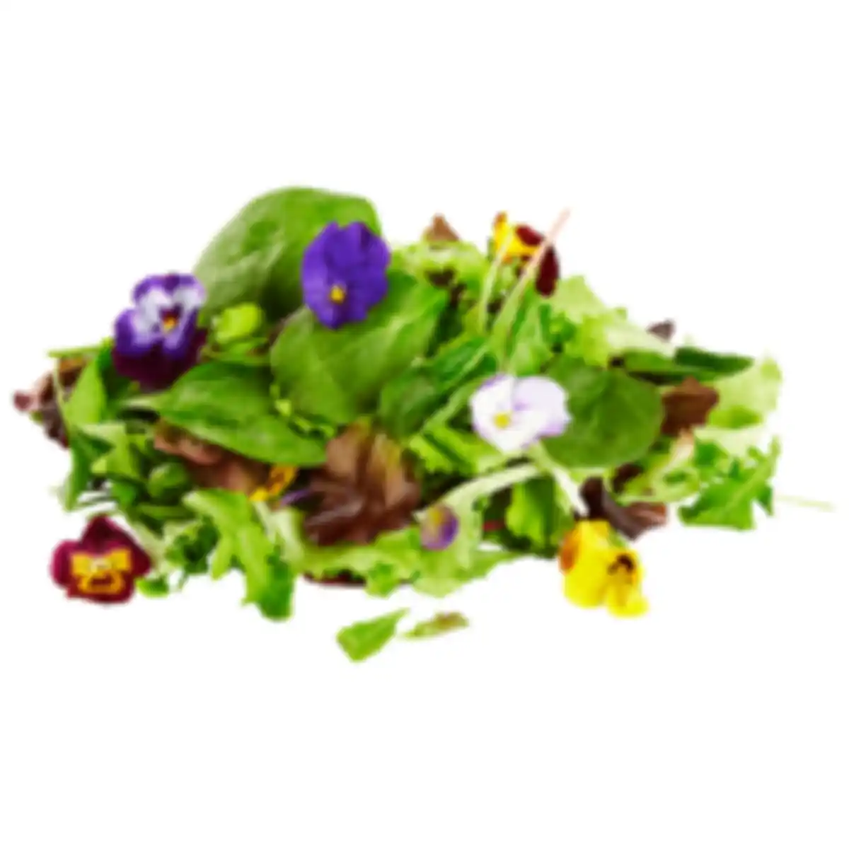 Bild 1 von Blütensalat Mix