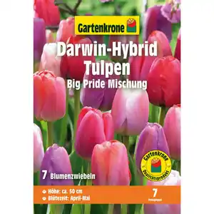 Gartenkrone Tulpe »Darwin-Hybrid Big Pride Mischung«, 7 Stück, bunt