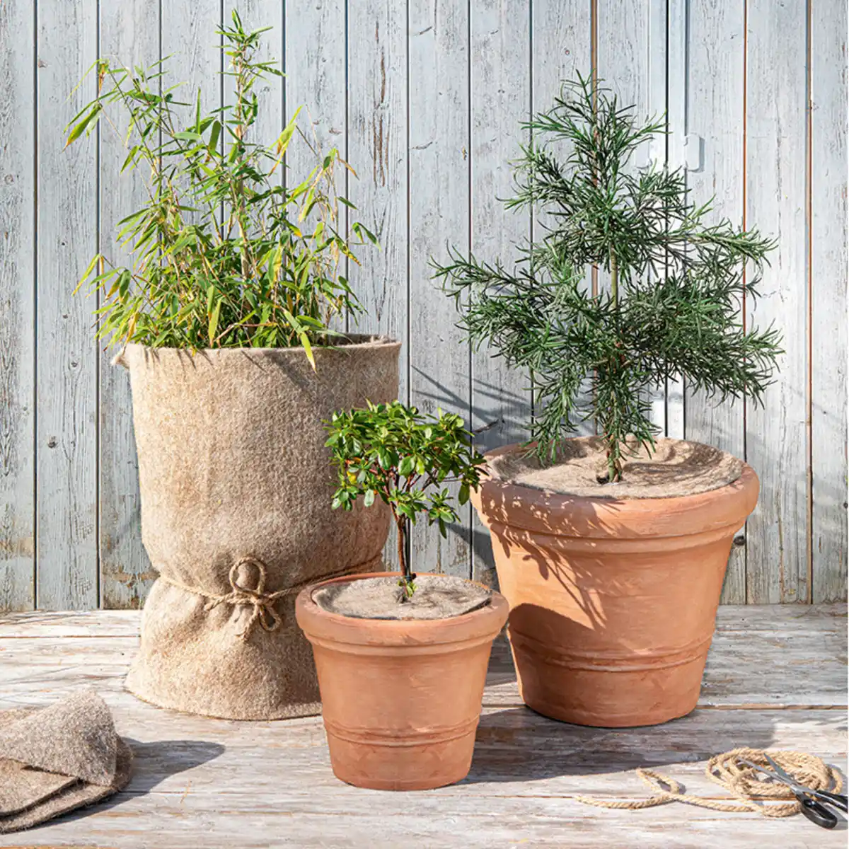 Bild 1 von Powertec Garden Wollfilz Winterschutz