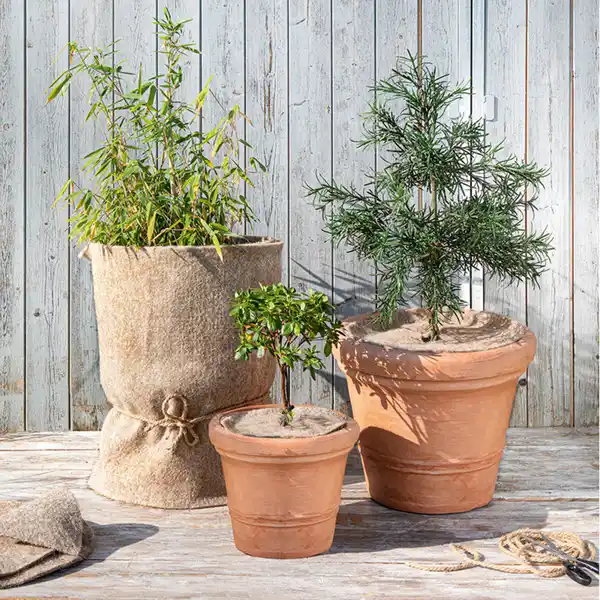 Bild 1 von Powertec Garden Wollfilz Winterschutz
