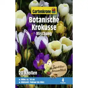 Gartenkrone Krokusse, 20 Blumenzwiebeln, weiß/gelb/violett