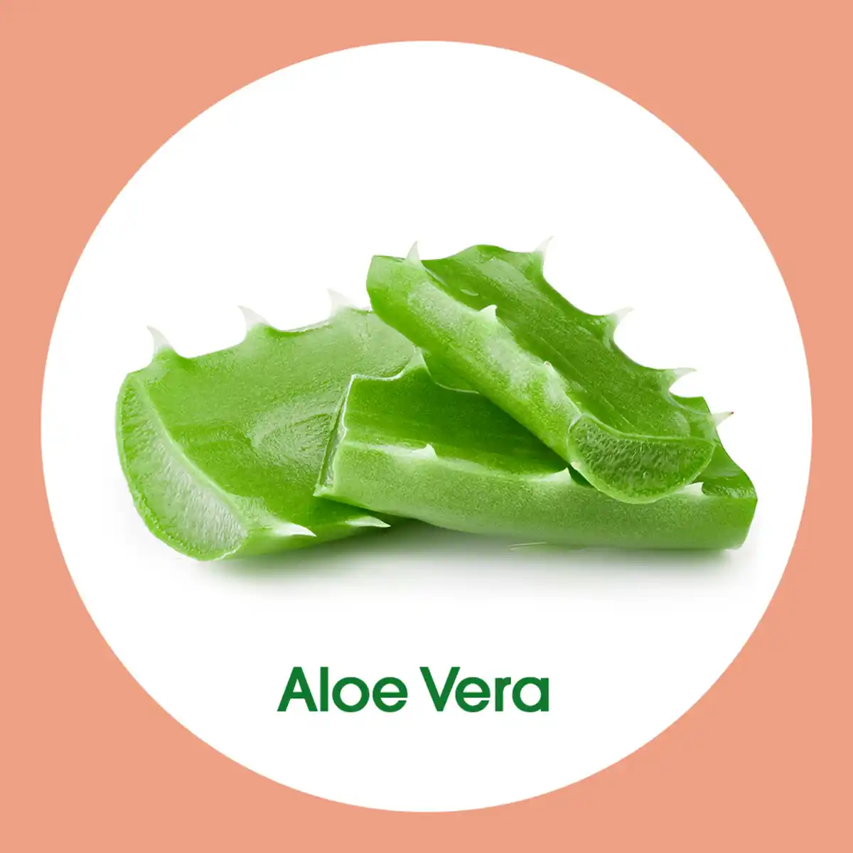 Bild 4 von Sagrotan Flüssige Handseife Aloe Vera Nachfüllbeutel, 500 ml