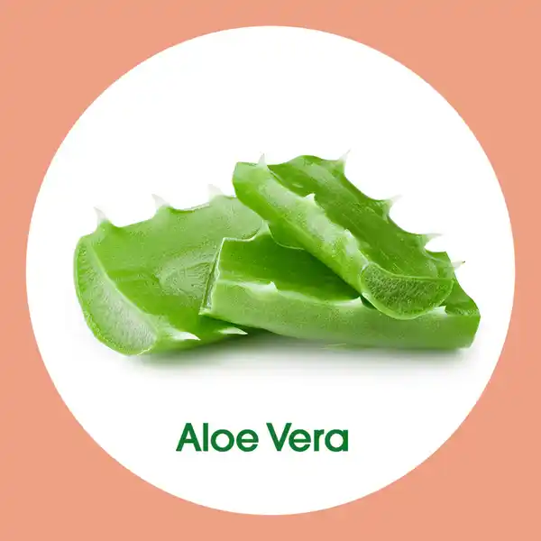 Bild 4 von Sagrotan Flüssige Handseife Aloe Vera Nachfüllbeutel, 500 ml