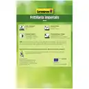 Bild 2 von Gartenkrone Kaiserkrone, 1 Blumenzwiebel, orange