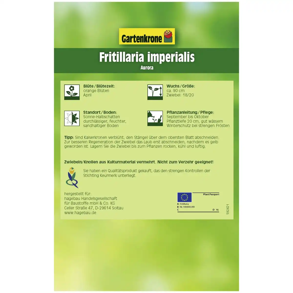 Bild 2 von Gartenkrone Kaiserkrone, 1 Blumenzwiebel, orange