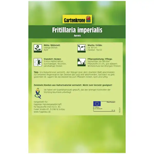 Bild 2 von Gartenkrone Kaiserkrone, 1 Blumenzwiebel, orange