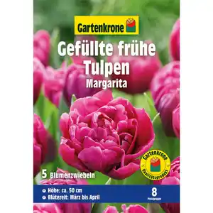 Gartenkrone Tulpe »Margarita«, 7 Stück, lilarot