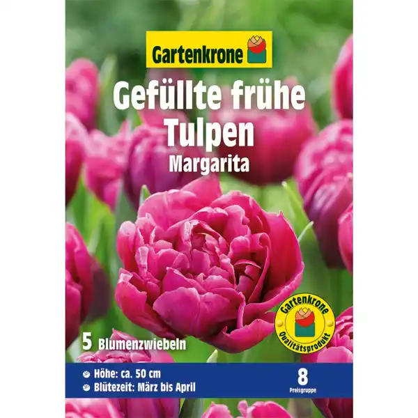 Bild 1 von Gartenkrone Tulpe »Margarita«, 7 Stück, lilarot