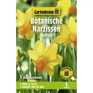 Gartenkrone Narzisse, 5 Blumenzwiebeln, gelb