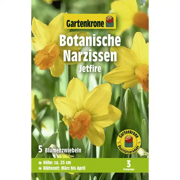 Bild 1 von Gartenkrone Narzisse, 5 Blumenzwiebeln, gelb