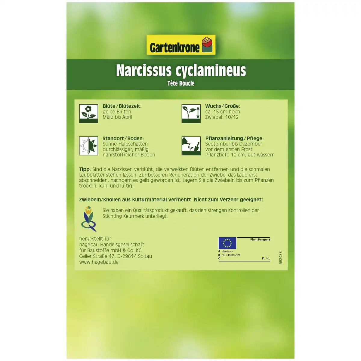 Bild 2 von Gartenkrone Narzisse, 4 Blumenzwiebeln, gelb