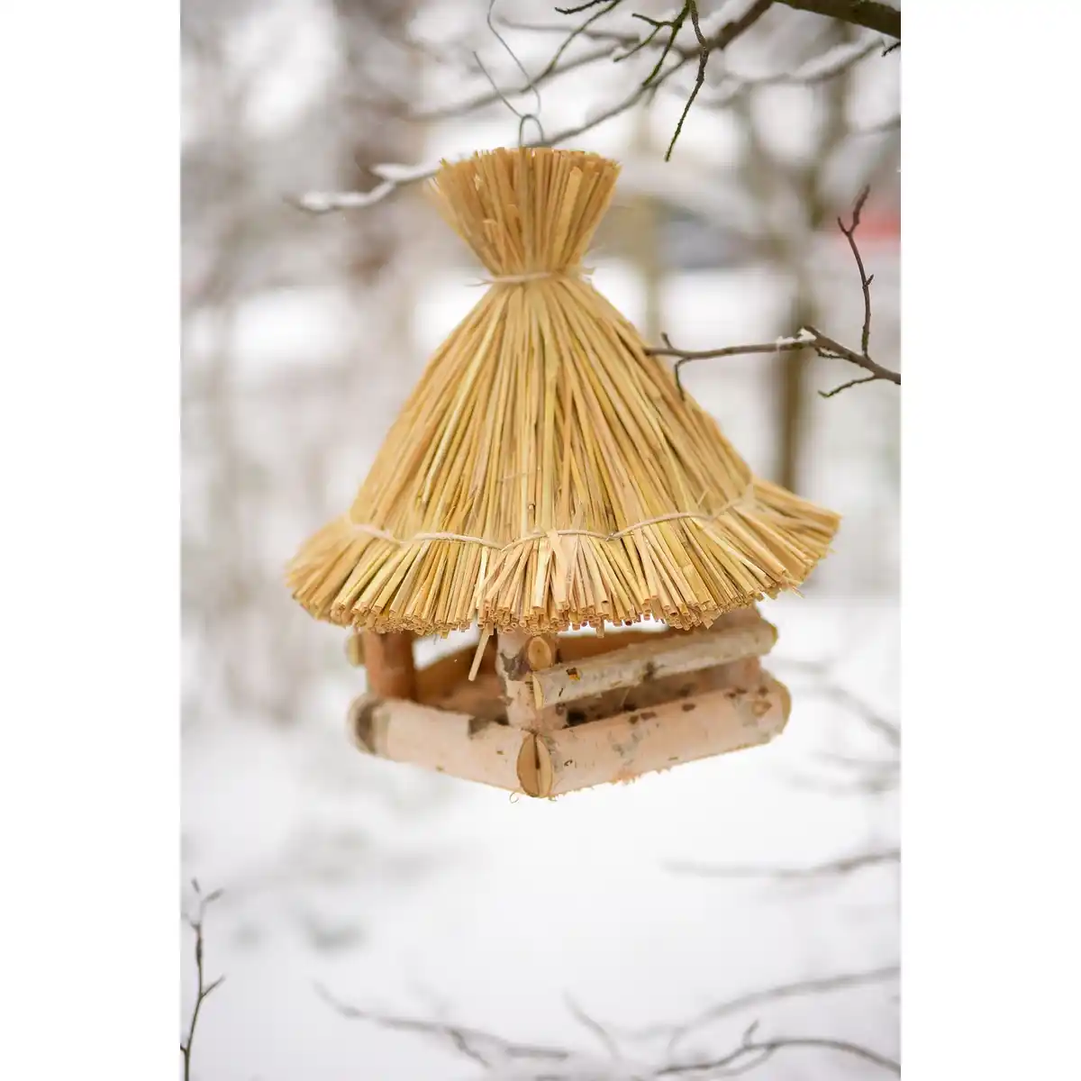 Bild 2 von PATKAR Vogelhaus, 32x.36 cm (ØxH), zum Aufhängen, Birkenholz