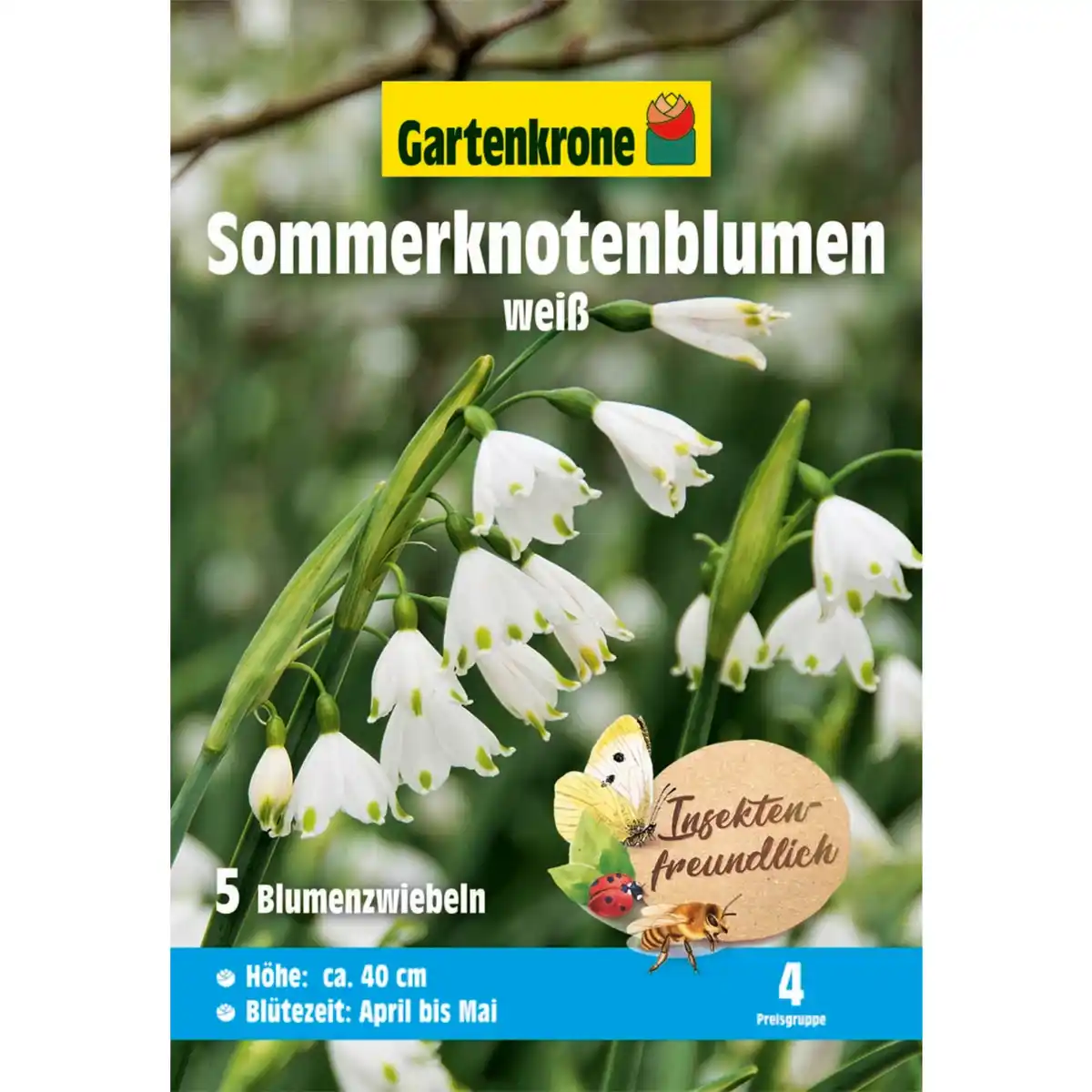Bild 1 von Gartenkrone Blumenzwiebel »Sommerknotenblumen Leucojum aestivum«, 5 Stück, weiß/grün